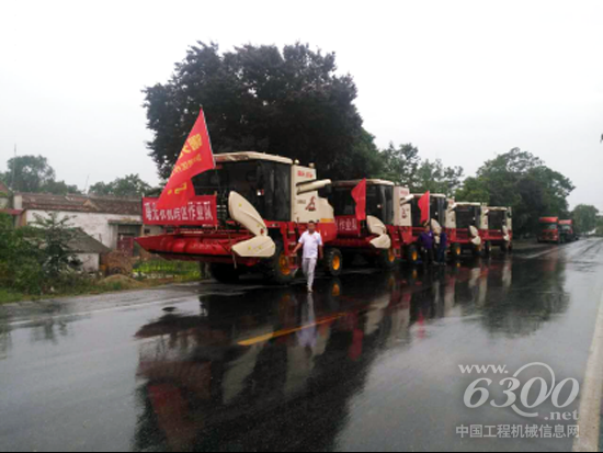 圖片新聞：清一色雷沃谷神的陜西扶風(fēng)縣曙光跨區(qū)作業(yè)隊(duì)冒雨出征181.png