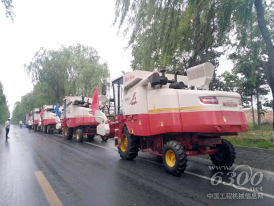 圖片新聞：清一色雷沃谷神的陜西扶風(fēng)縣曙光跨區(qū)作業(yè)隊(duì)冒雨出征182.png