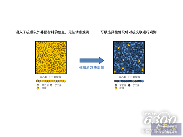 苯乙烯-丁二烯橡膠（SBR）中硫交聯(lián)的疏密度觀察圖像 （終版使用）_副本.png